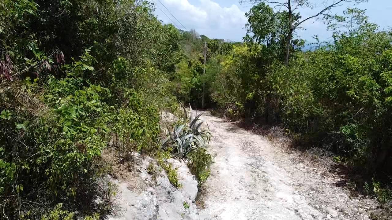 Seventh image of Samuel Prospect, Duncans in Arcadia Pen, Trelawny, Jamaica - property is For Sale