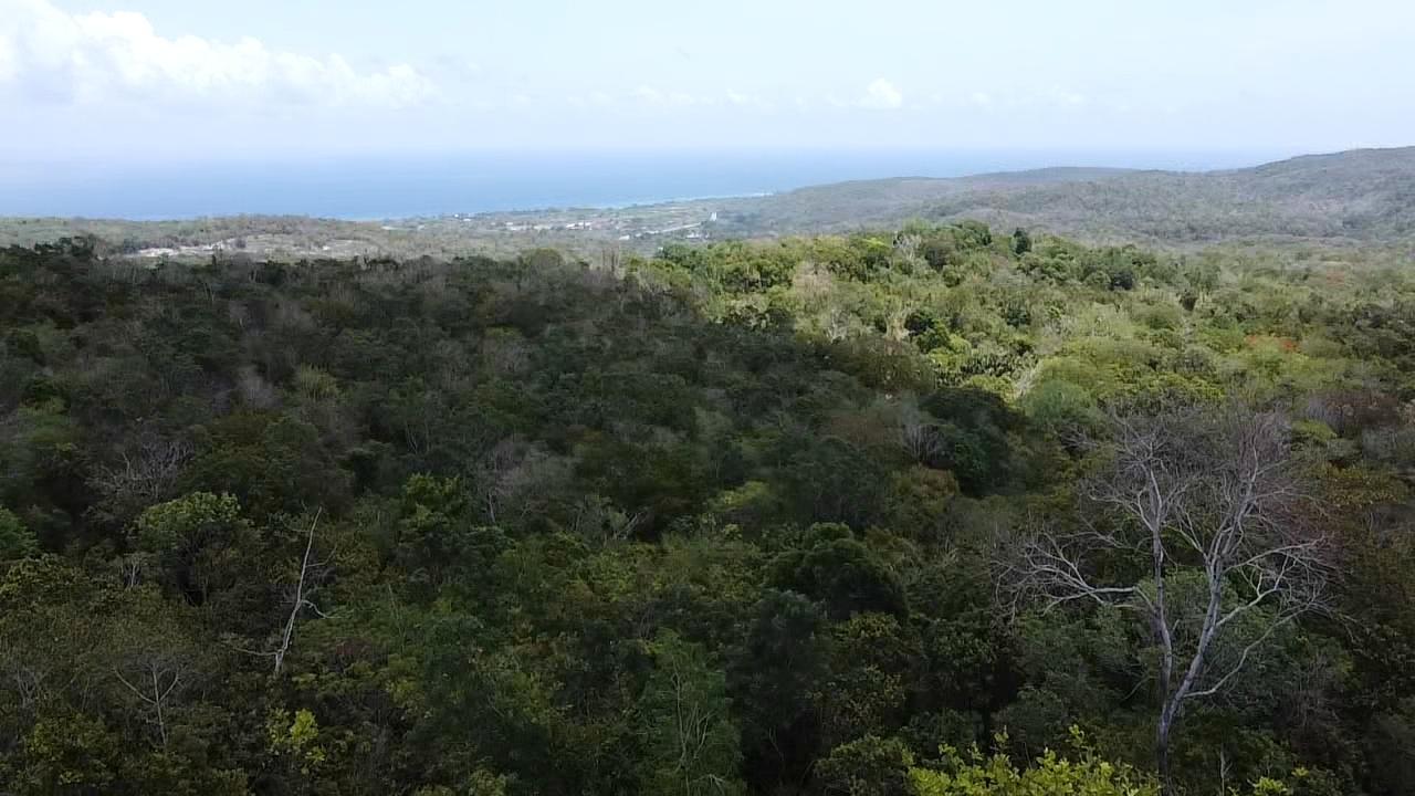First image of Samuel Prospect, Duncans in Arcadia Pen, Trelawny, Jamaica - property is For Sale
