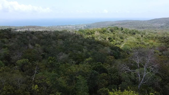First image of Samuel Prospect, Duncans in Arcadia Pen, Trelawny, Jamaica - property is For Sale