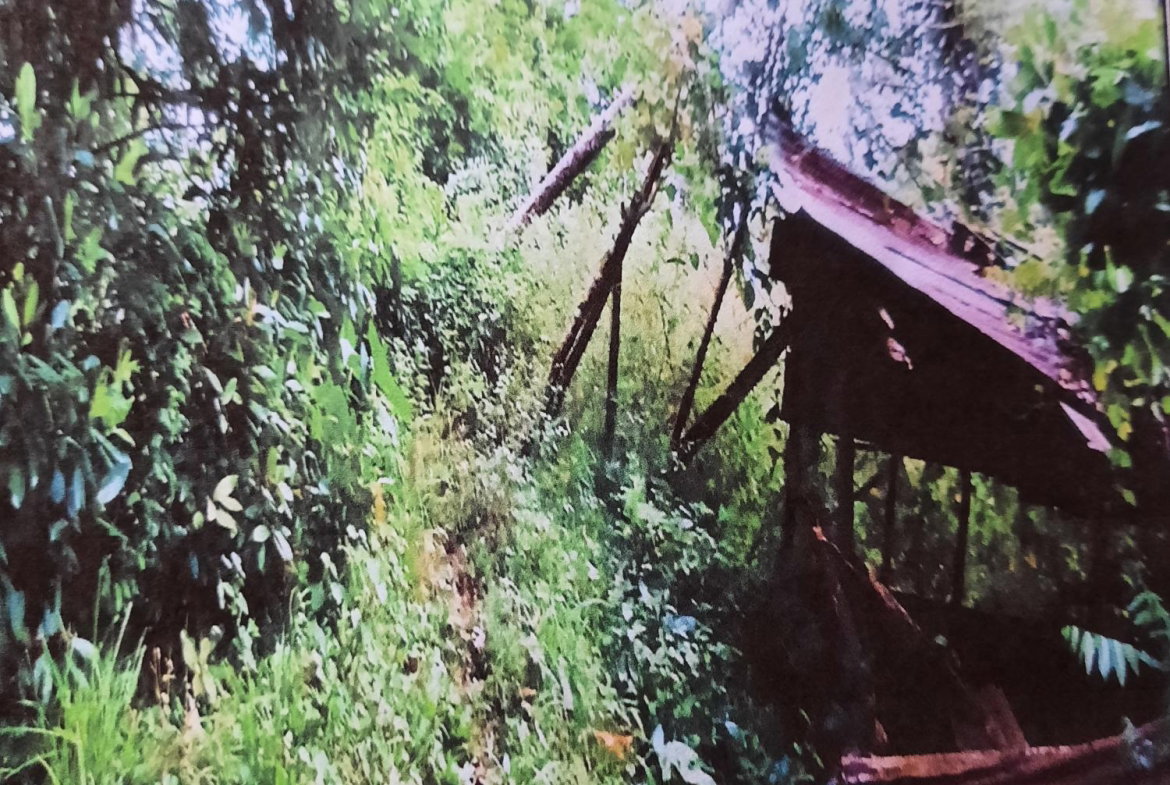 Second image of Part Pembroke Plantation in Castleton, St. Mary, Jamaica - property is For Sale