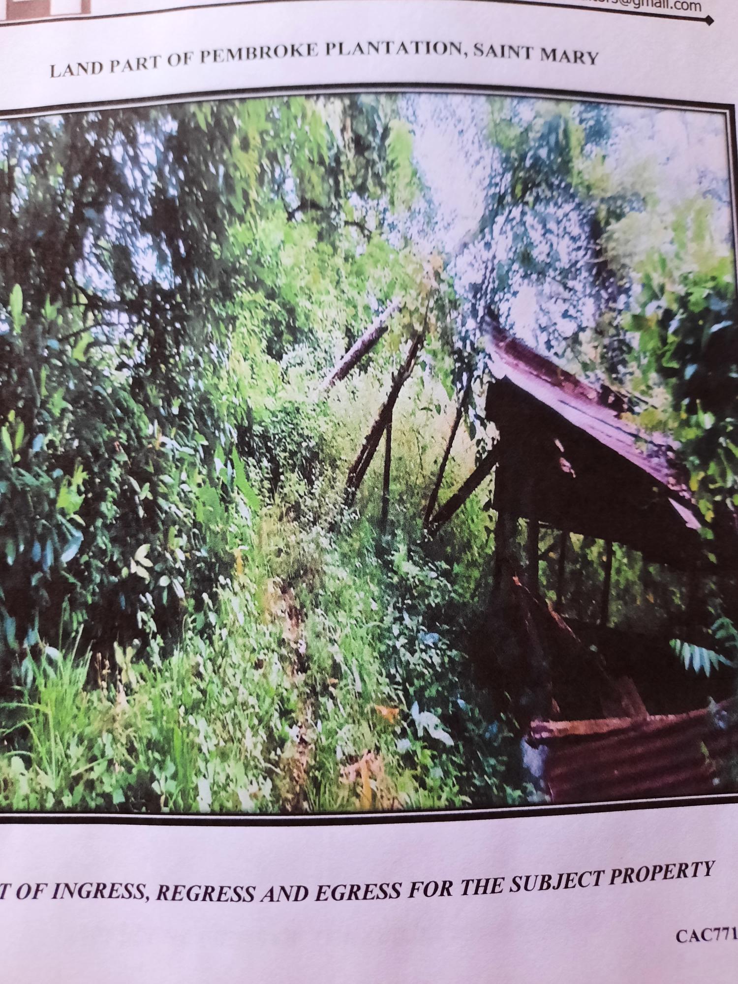 Second image of Part Pembroke Plantation in Castleton, St. Mary, Jamaica - property is For Sale
