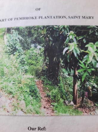 First image of Part Pembroke Plantation in Castleton, St. Mary, Jamaica - property is For Sale