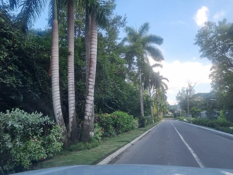 Sixth image of 22-84 Mahoe Bay, St. James in Mahoe Bay, St. James, Jamaica - property is For Sale