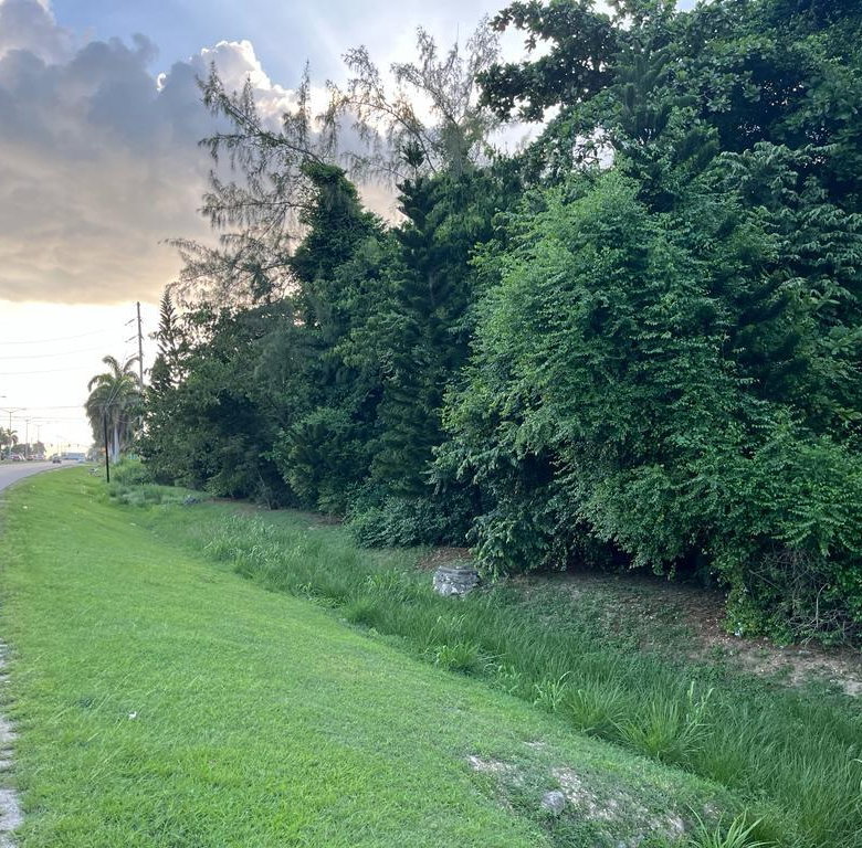 First image of 22-84 Mahoe Bay, St. James in Mahoe Bay, St. James, Jamaica - property is For Sale
