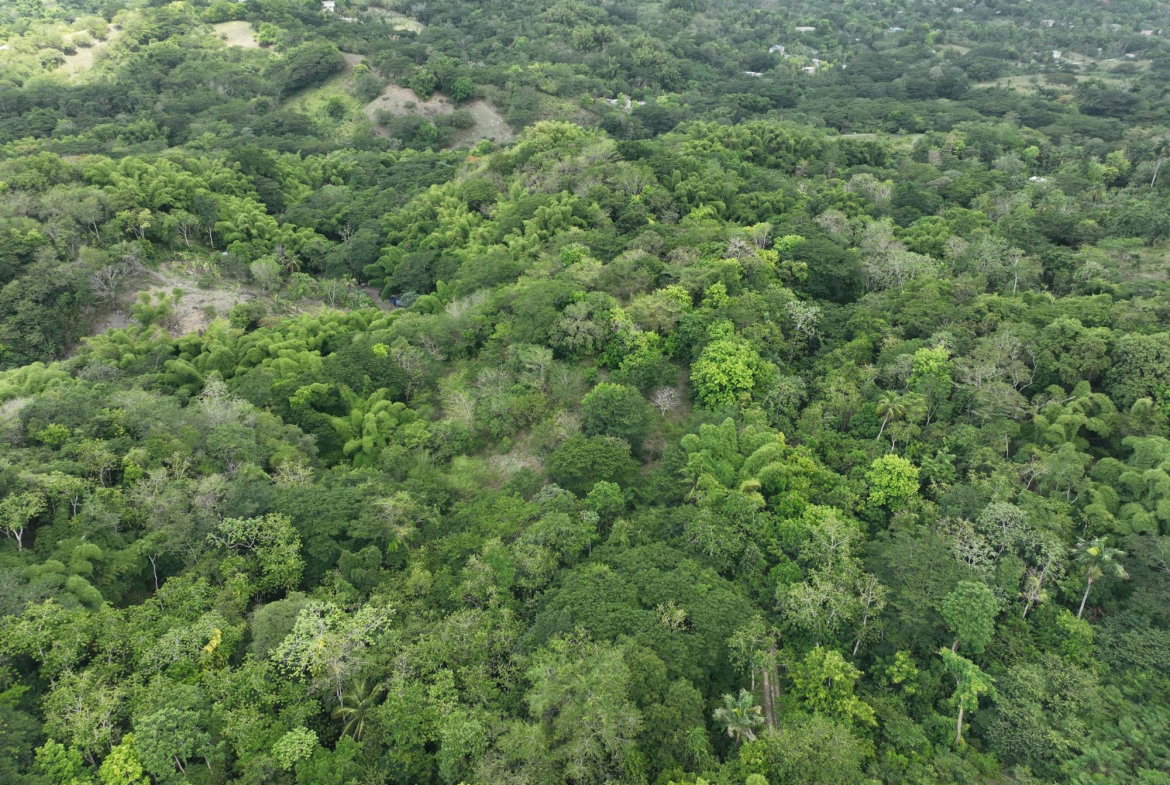 Second image of Part of Ashleys, Chapleto in CHAPELTON, Clarendon, Jamaica - property is For Sale