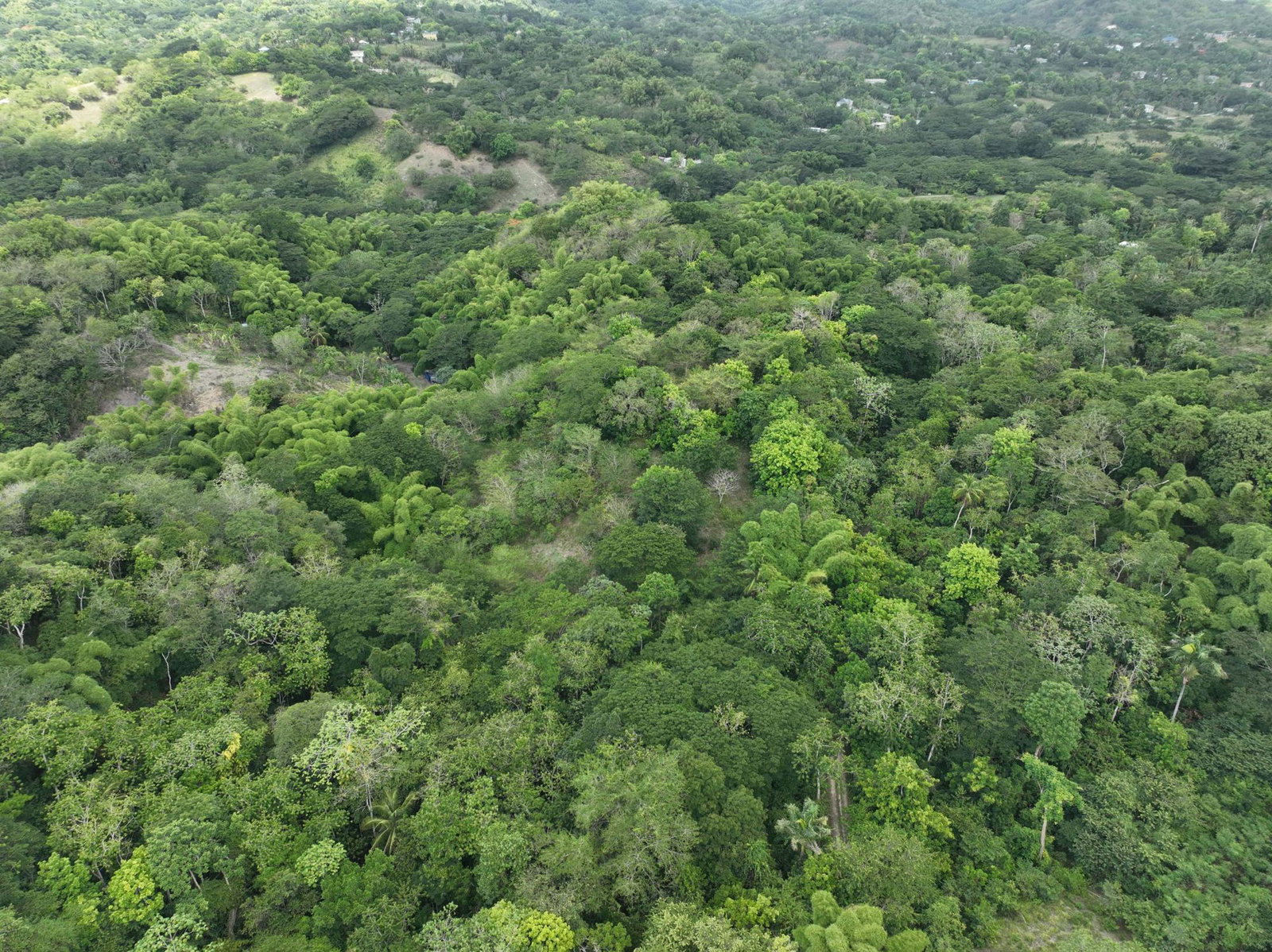 Second image of Part of Ashleys, Chapleto in CHAPELTON, Clarendon, Jamaica - property is For Sale