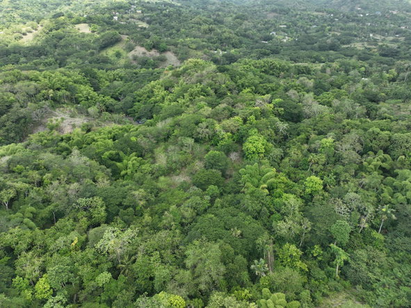 Second image of Part of Ashleys, Chapleto in CHAPELTON, Clarendon, Jamaica - property is For Sale
