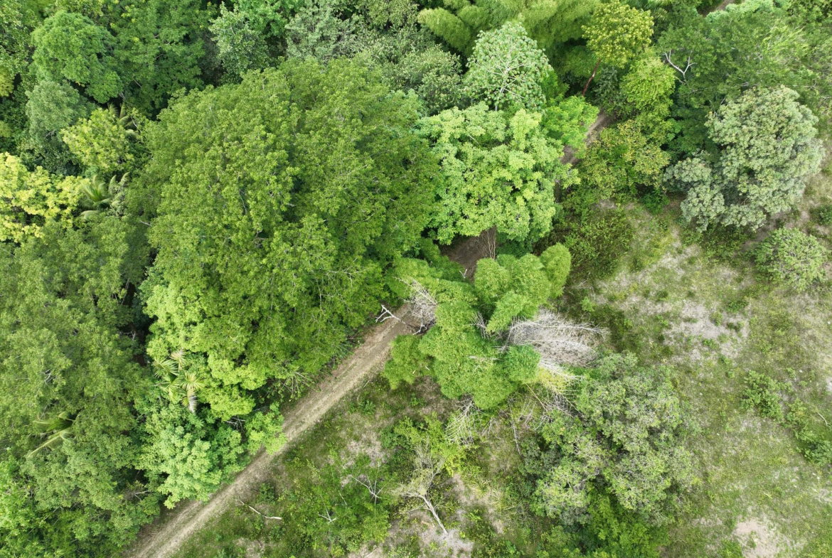 First image of Part of Ashleys, Chapleto in CHAPELTON, Clarendon, Jamaica - property is For Sale