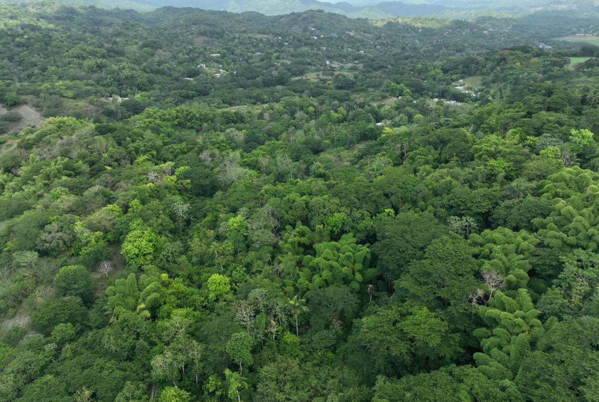Third image of Part of Ashleys, Chapleto in CHAPELTON, Clarendon, Jamaica - property is For Sale
