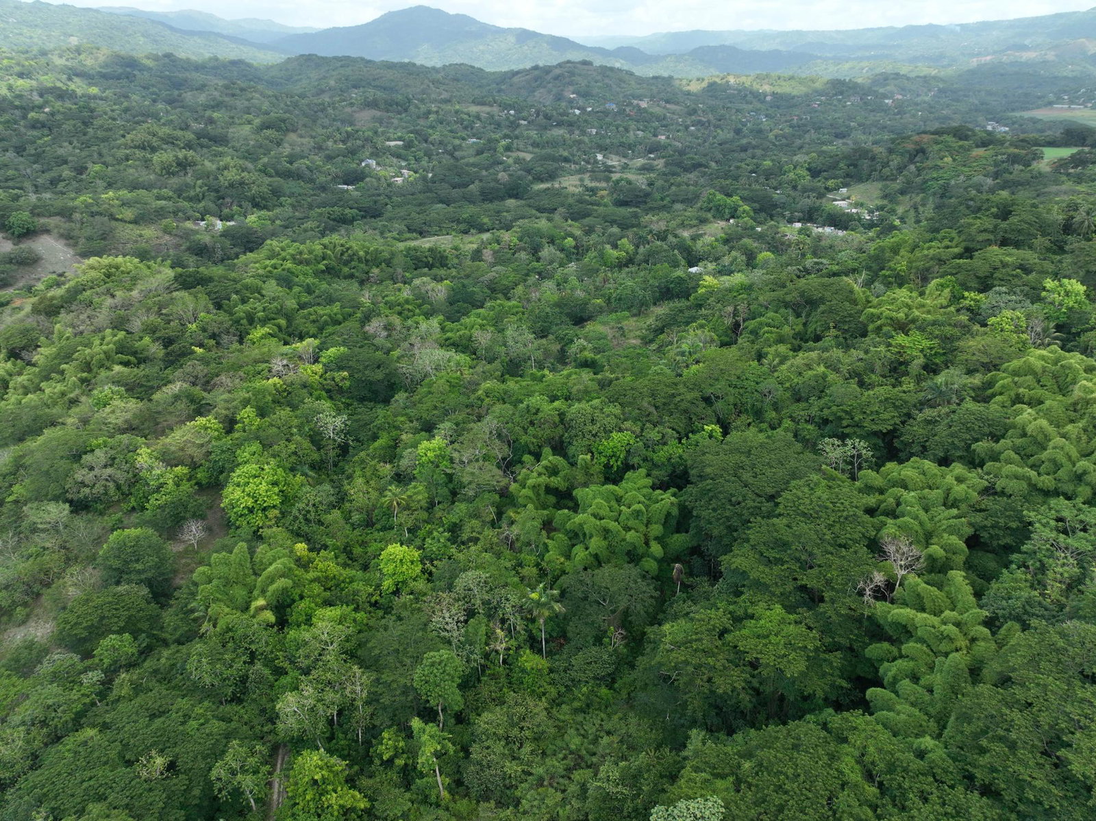 Third image of Part of Ashleys, Chapleto in CHAPELTON, Clarendon, Jamaica - property is For Sale