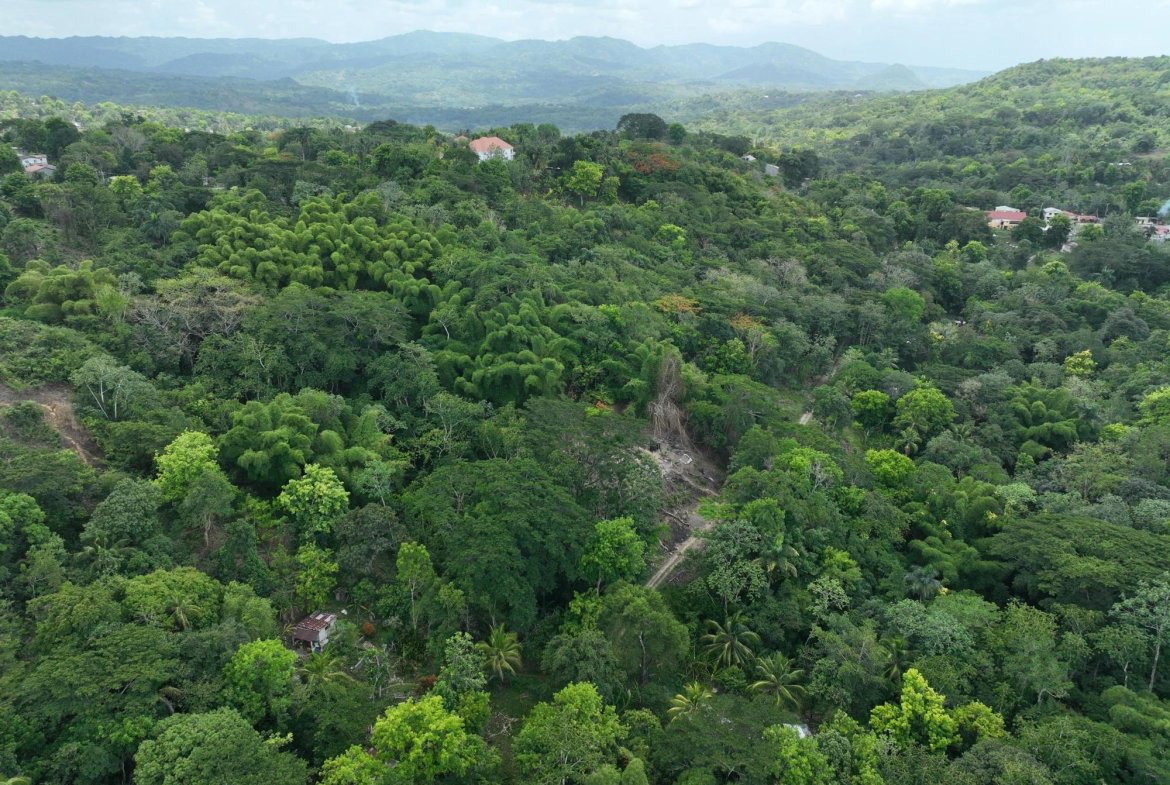 Fourth image of Part of Ashleys, Chapleto in CHAPELTON, Clarendon, Jamaica - property is For Sale