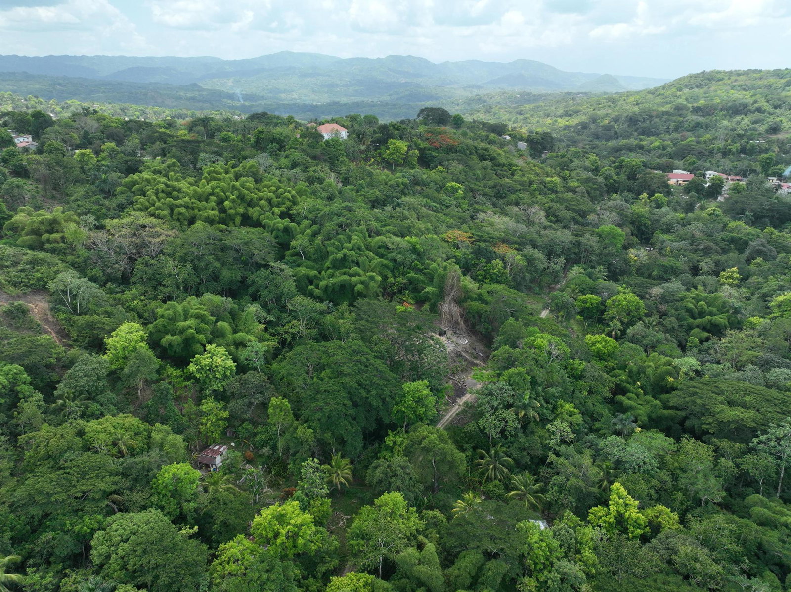Fourth image of Part of Ashleys, Chapleto in CHAPELTON, Clarendon, Jamaica - property is For Sale