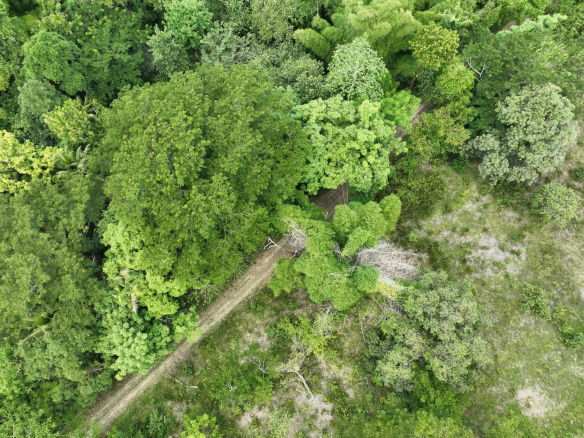 First image of Part of Ashleys, Chapleto in CHAPELTON, Clarendon, Jamaica - property is For Sale