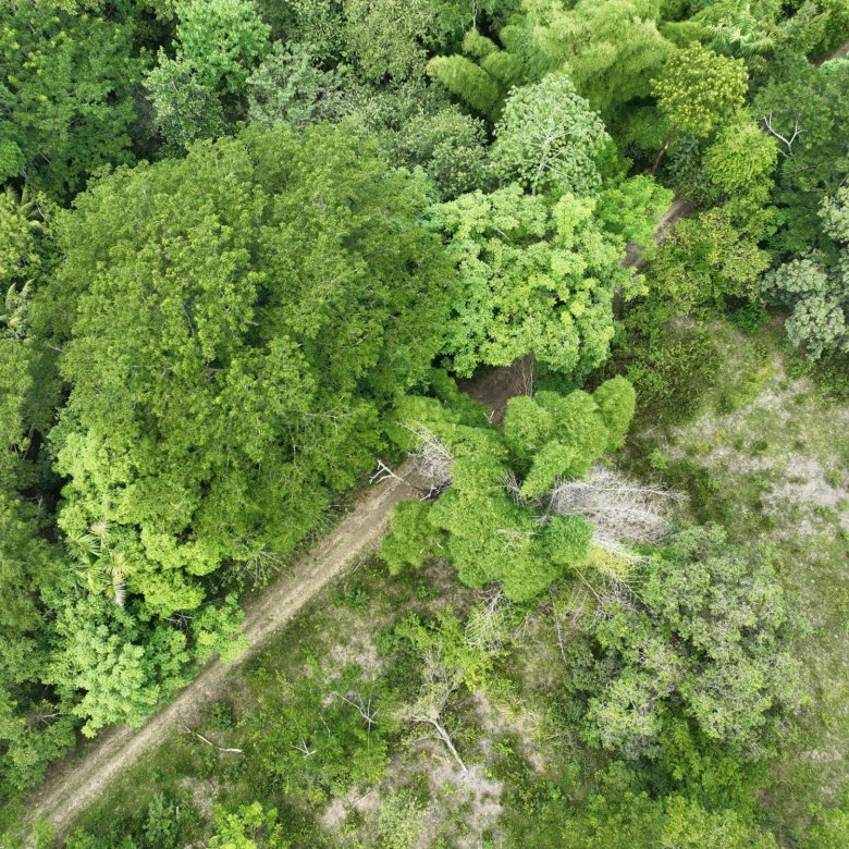 First image of Part of Ashleys, Chapleto in CHAPELTON, Clarendon, Jamaica - property is For Sale