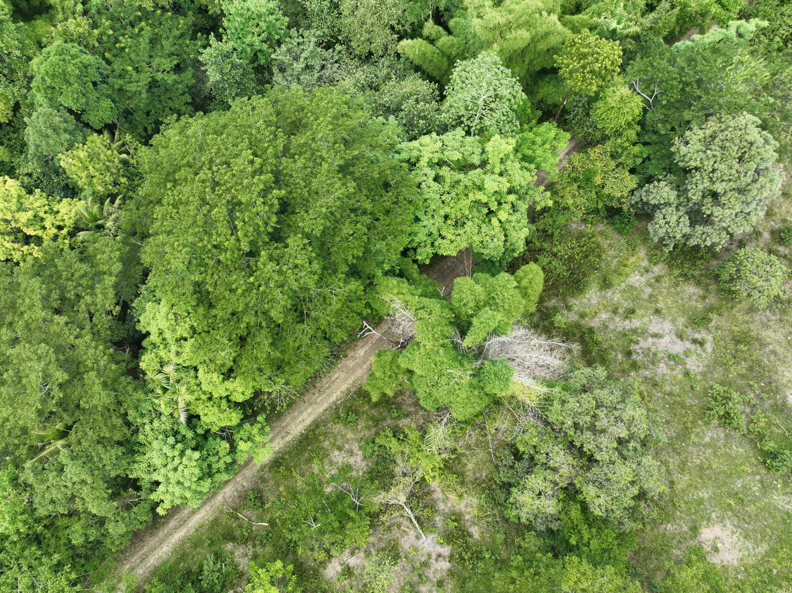 First image of Part of Ashleys, Chapleto in CHAPELTON, Clarendon, Jamaica - property is For Sale