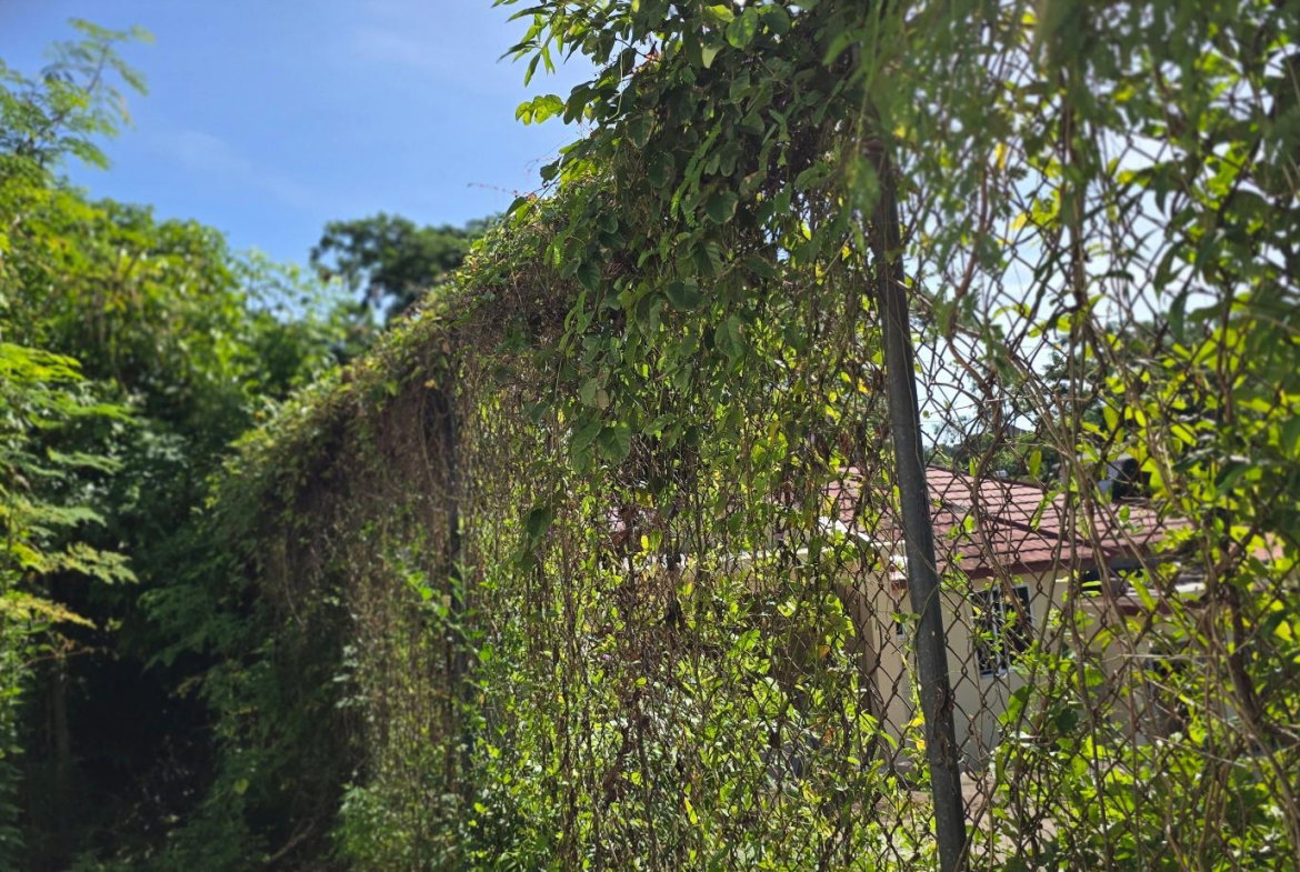 Thirteenth image of 5a Strachan Crescent in May Pen, Clarendon, Jamaica - property is For Sale