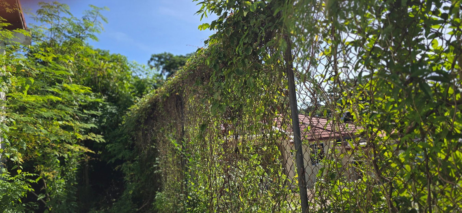 Thirteenth image of 5a Strachan Crescent in May Pen, Clarendon, Jamaica - property is For Sale