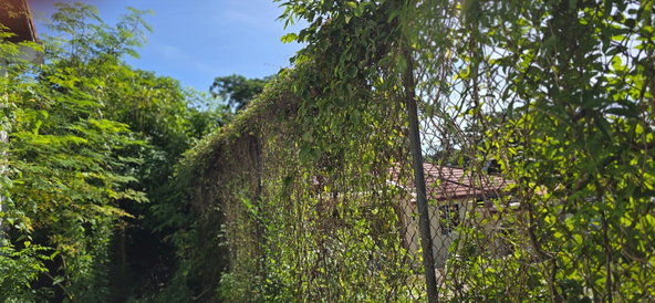 Thirteenth image of 5a Strachan Crescent in May Pen, Clarendon, Jamaica - property is For Sale