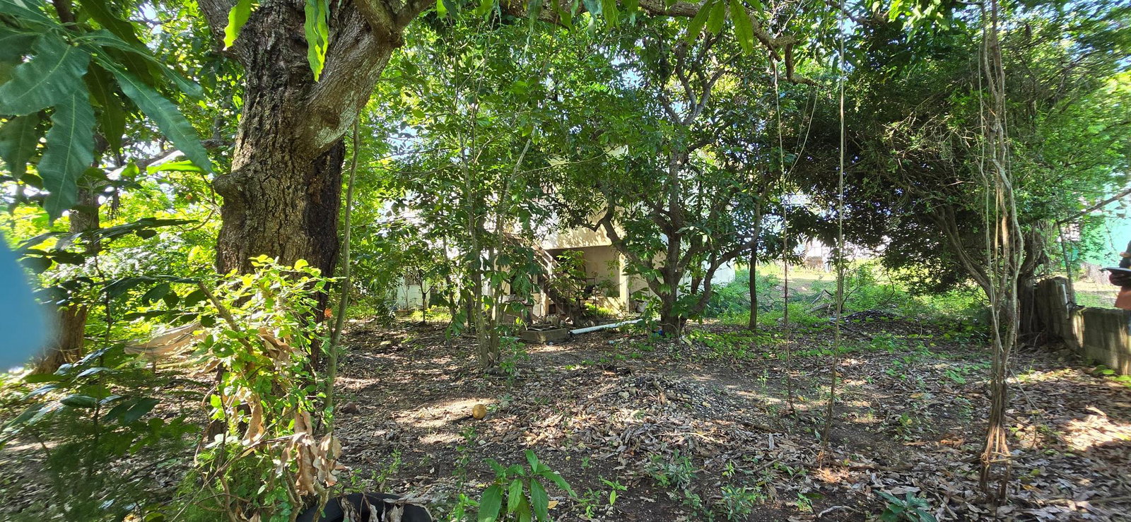Third image of 5a Strachan Crescent in May Pen, Clarendon, Jamaica - property is For Sale