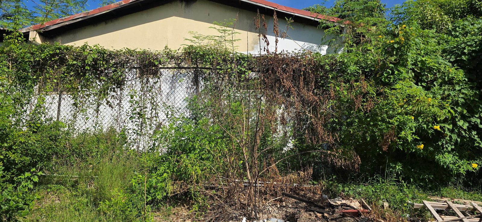Ninth image of 5a Strachan Crescent in May Pen, Clarendon, Jamaica - property is For Sale