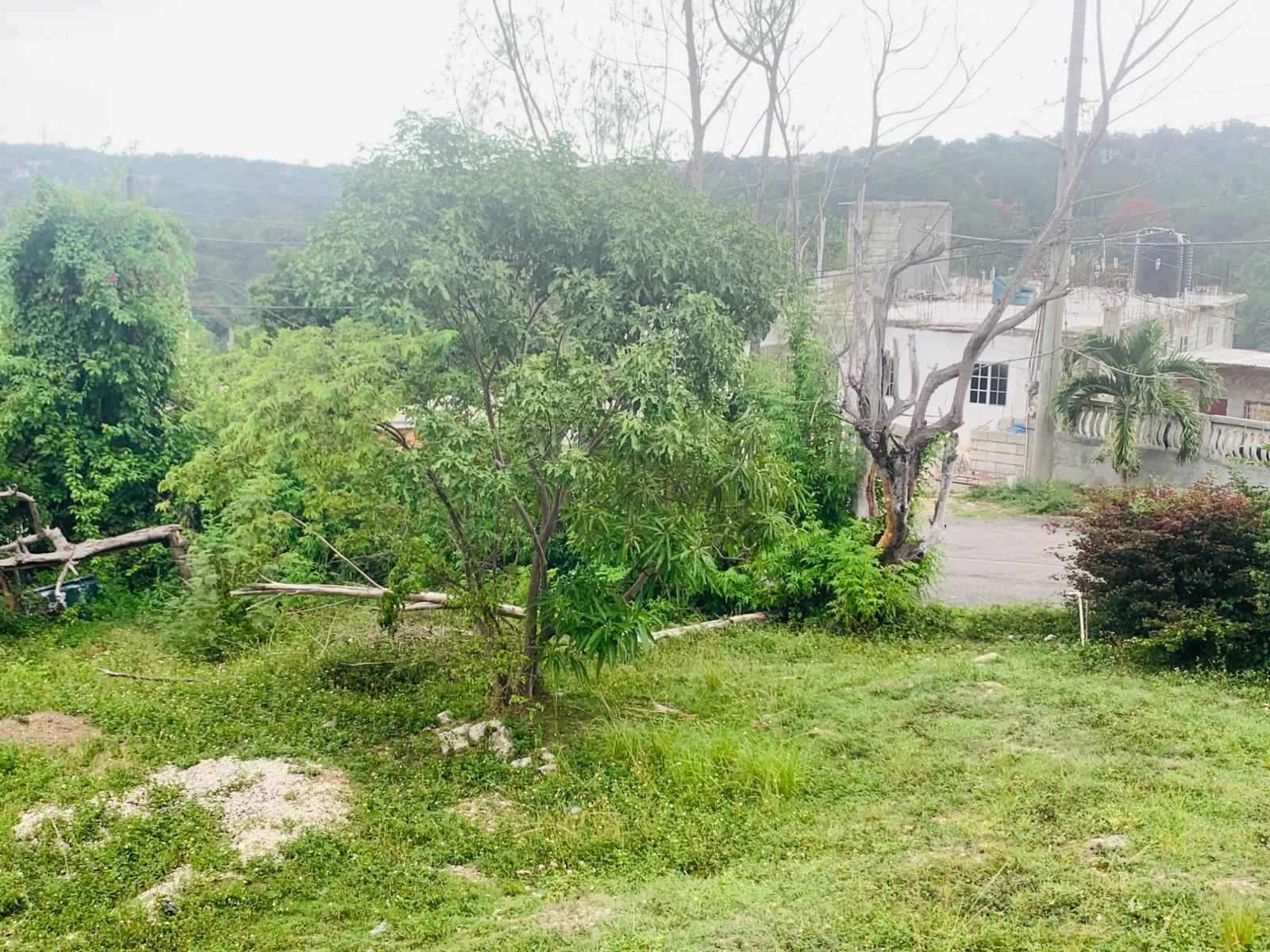 Sixteenth image of 179 Farm Heights in Farm Heights, St. James, Jamaica - property is For Sale