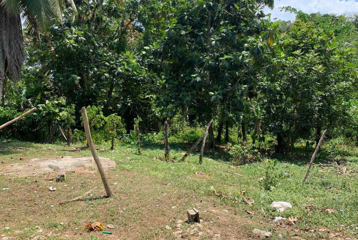 Fifth image of Bunker's Hill in Bunkers Hill, Trelawny, Jamaica - property is For Sale