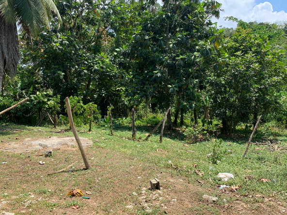 Fifth image of Bunker's Hill in Bunkers Hill, Trelawny, Jamaica - property is For Sale