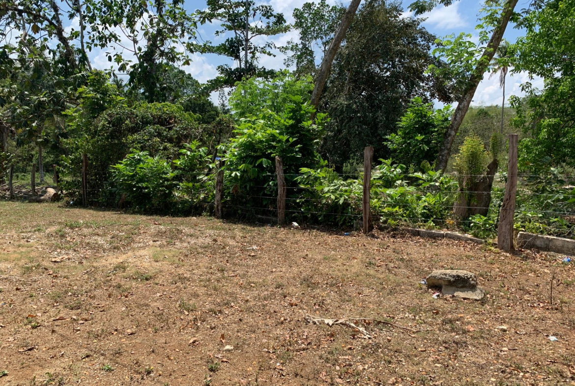 Eighth image of Bunker's Hill in Bunkers Hill, Trelawny, Jamaica - property is For Sale