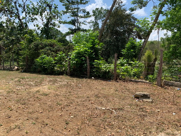 Eighth image of Bunker's Hill in Bunkers Hill, Trelawny, Jamaica - property is For Sale