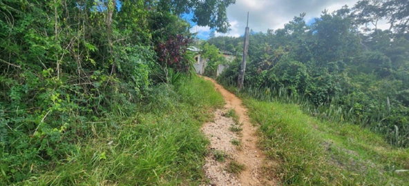 Tenth image of Mollison in Christiana, Manchester, Jamaica - property is For Sale