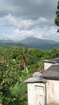 Second image of Mount Ogle in Lawrence Tavern P.O., St. Andrew, Jamaica - property is For Sale