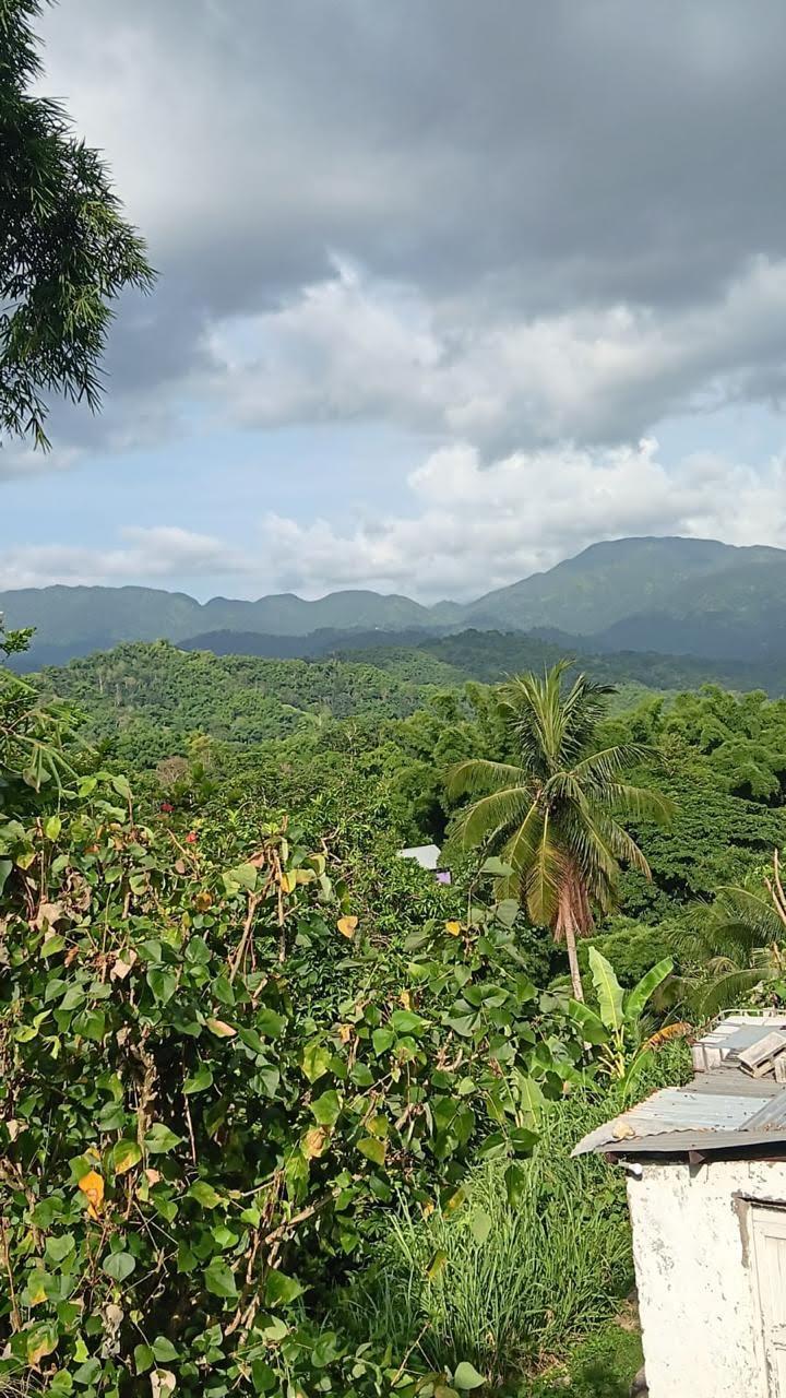 Third image of Mount Ogle in Lawrence Tavern P.O., St. Andrew, Jamaica - property is For Sale