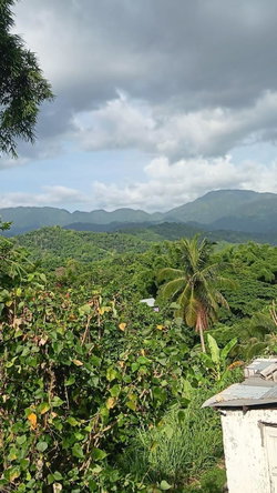 Third image of Mount Ogle in Lawrence Tavern P.O., St. Andrew, Jamaica - property is For Sale
