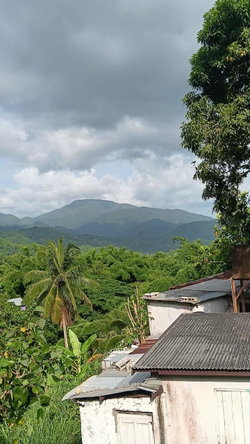 Fourth image of Mount Ogle in Lawrence Tavern P.O., St. Andrew, Jamaica - property is For Sale