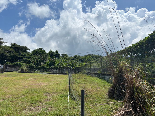 Twelfth image of 44 Haughton Court in Lucea, Hanover, Jamaica - property is For Sale