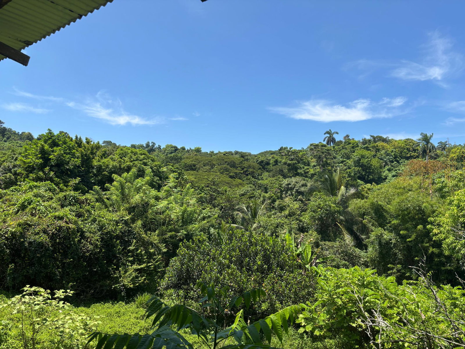 Thirteenth image of 44 Haughton Court in Lucea, Hanover, Jamaica - property is For Sale