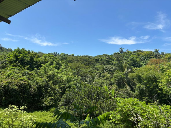 Thirteenth image of 44 Haughton Court in Lucea, Hanover, Jamaica - property is For Sale