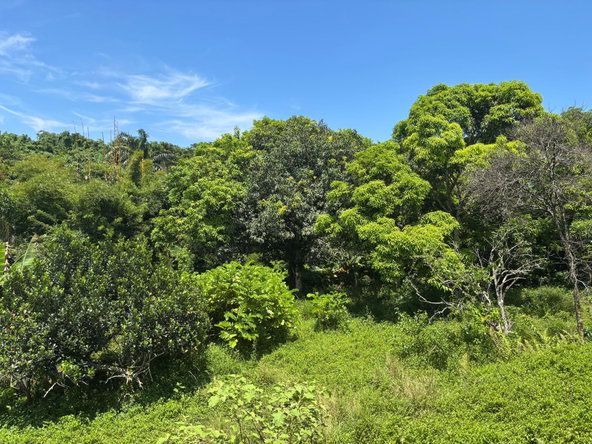 Fourteenth image of 44 Haughton Court in Lucea, Hanover, Jamaica - property is For Sale
