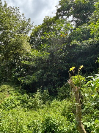 Seventeenth image of 44 Haughton Court in Lucea, Hanover, Jamaica - property is For Sale