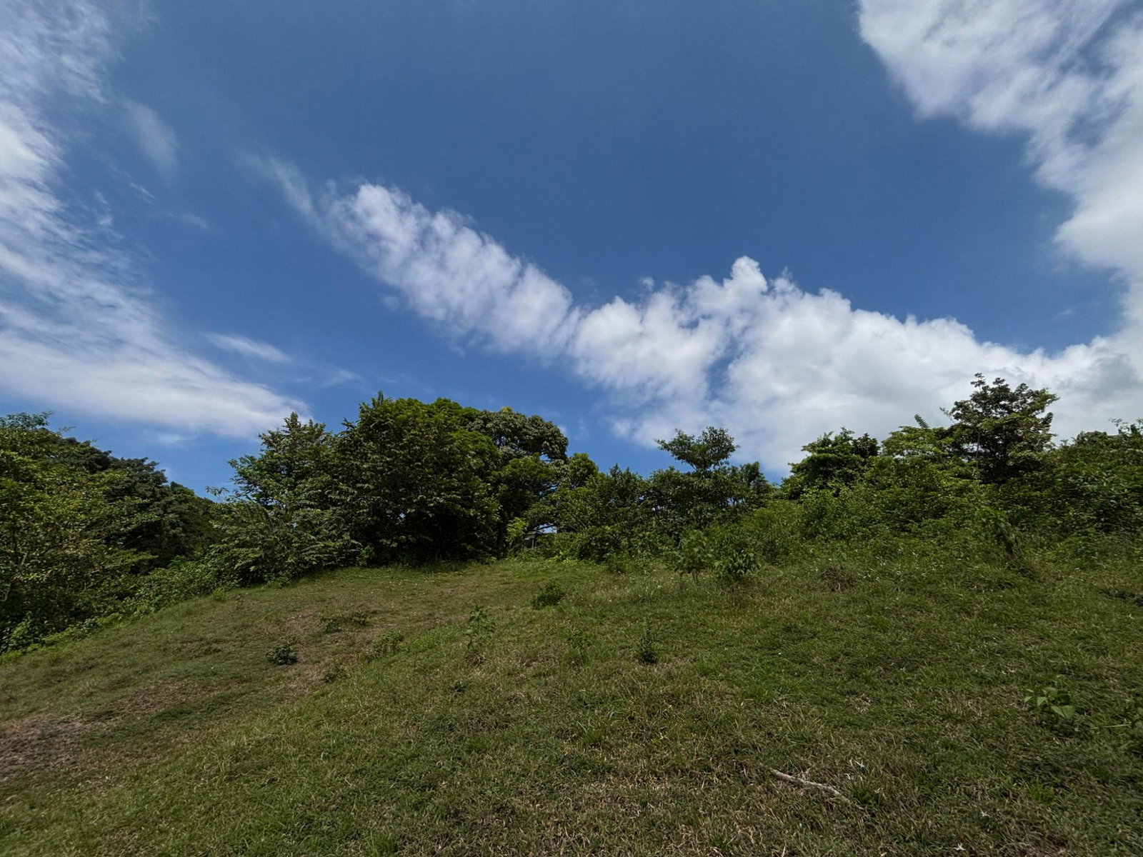 Twenty-First image of 44 Haughton Court in Lucea, Hanover, Jamaica - property is For Sale