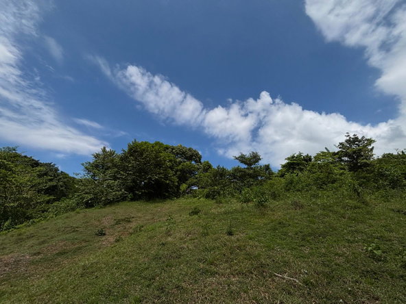 Twenty-First image of 44 Haughton Court in Lucea, Hanover, Jamaica - property is For Sale