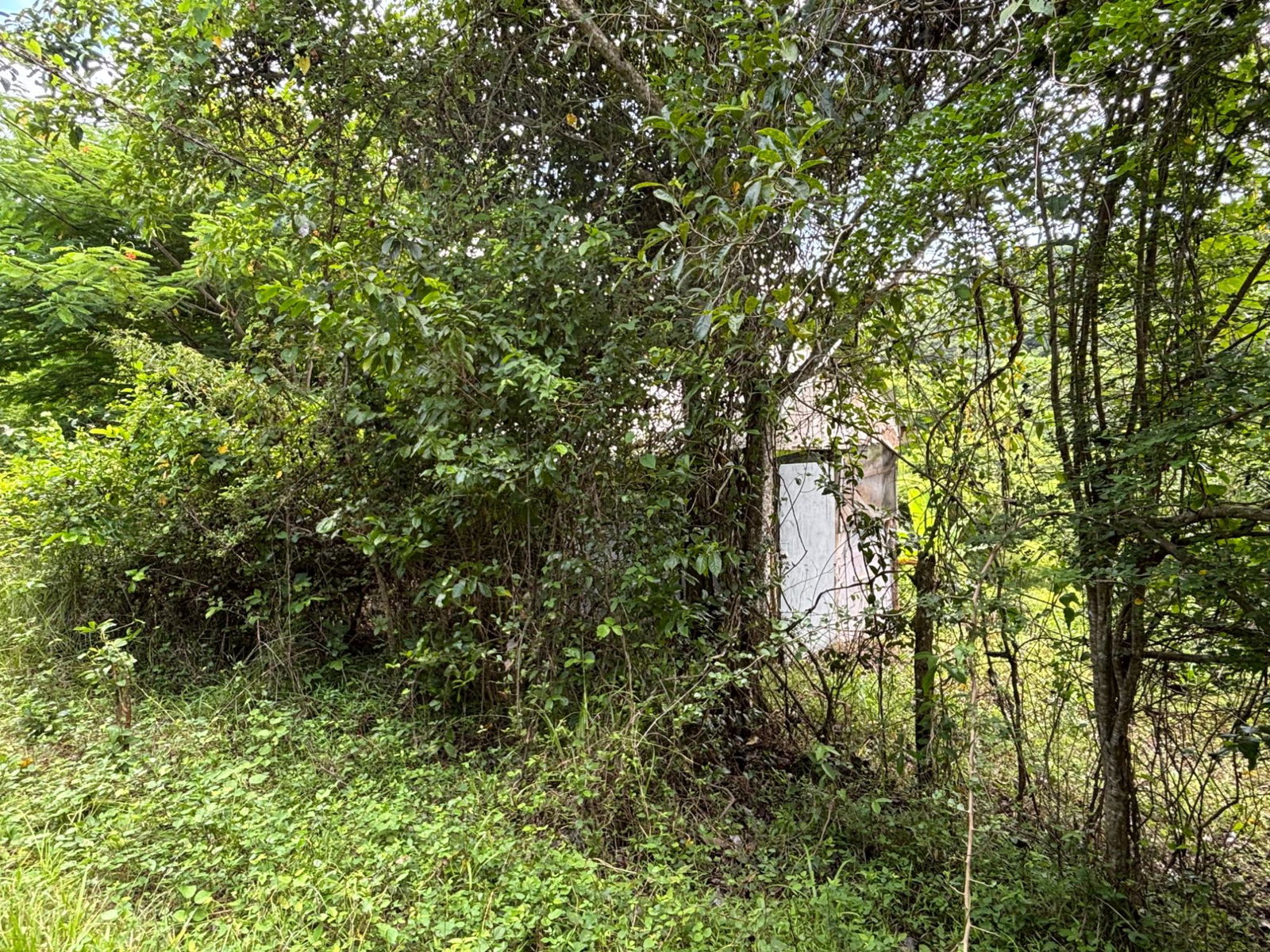 Twenty-Fifth image of 44 Haughton Court in Lucea, Hanover, Jamaica - property is For Sale