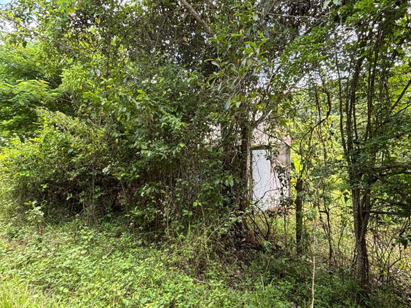 Twenty-Fifth image of 44 Haughton Court in Lucea, Hanover, Jamaica - property is For Sale