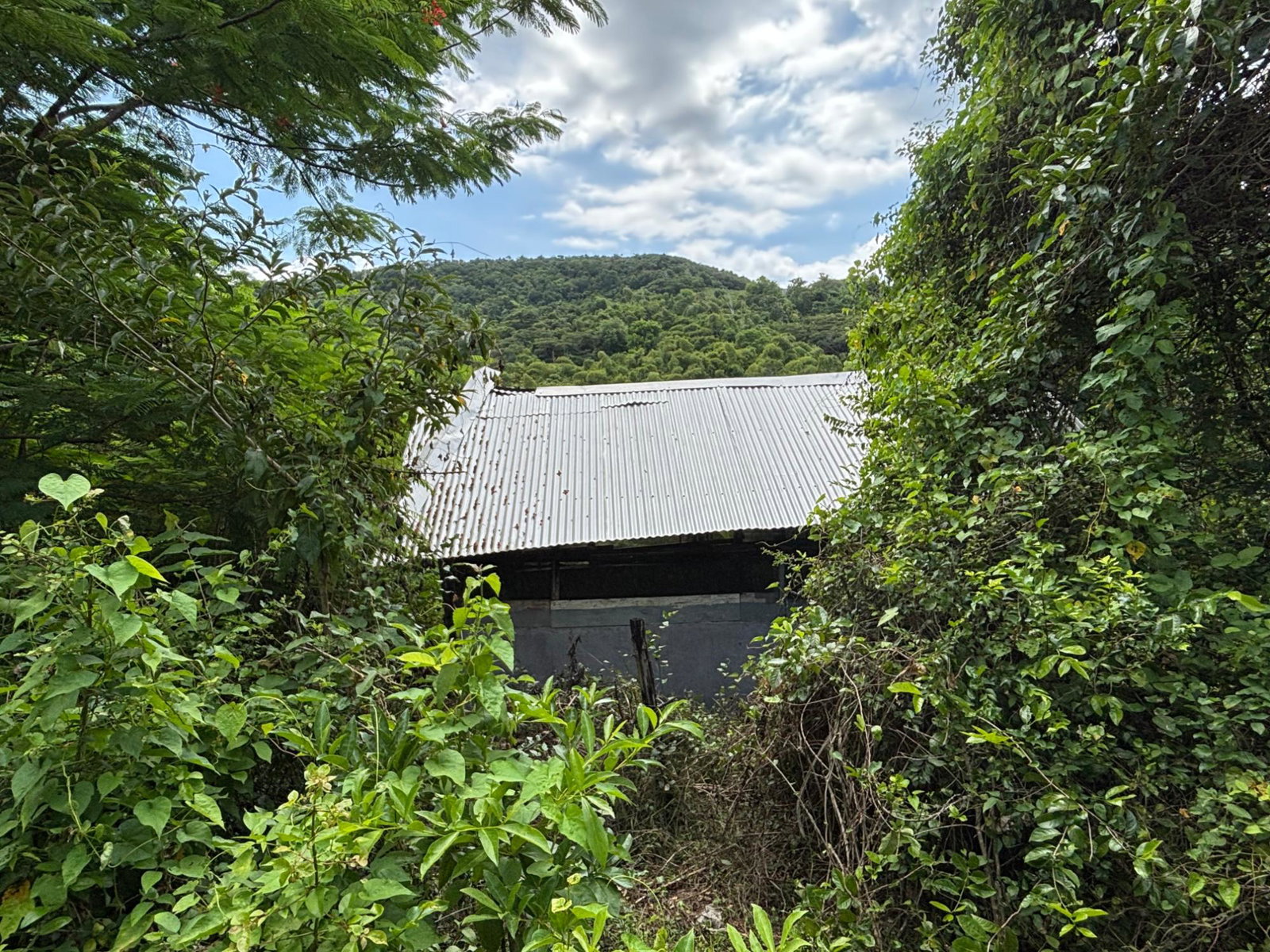 Twenty-Sixth image of 44 Haughton Court in Lucea, Hanover, Jamaica - property is For Sale