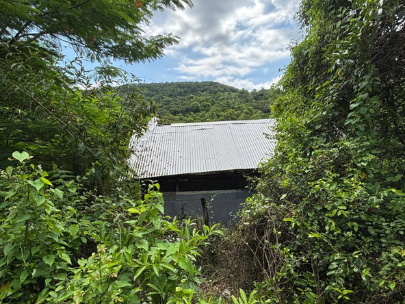 Twenty-Sixth image of 44 Haughton Court in Lucea, Hanover, Jamaica - property is For Sale