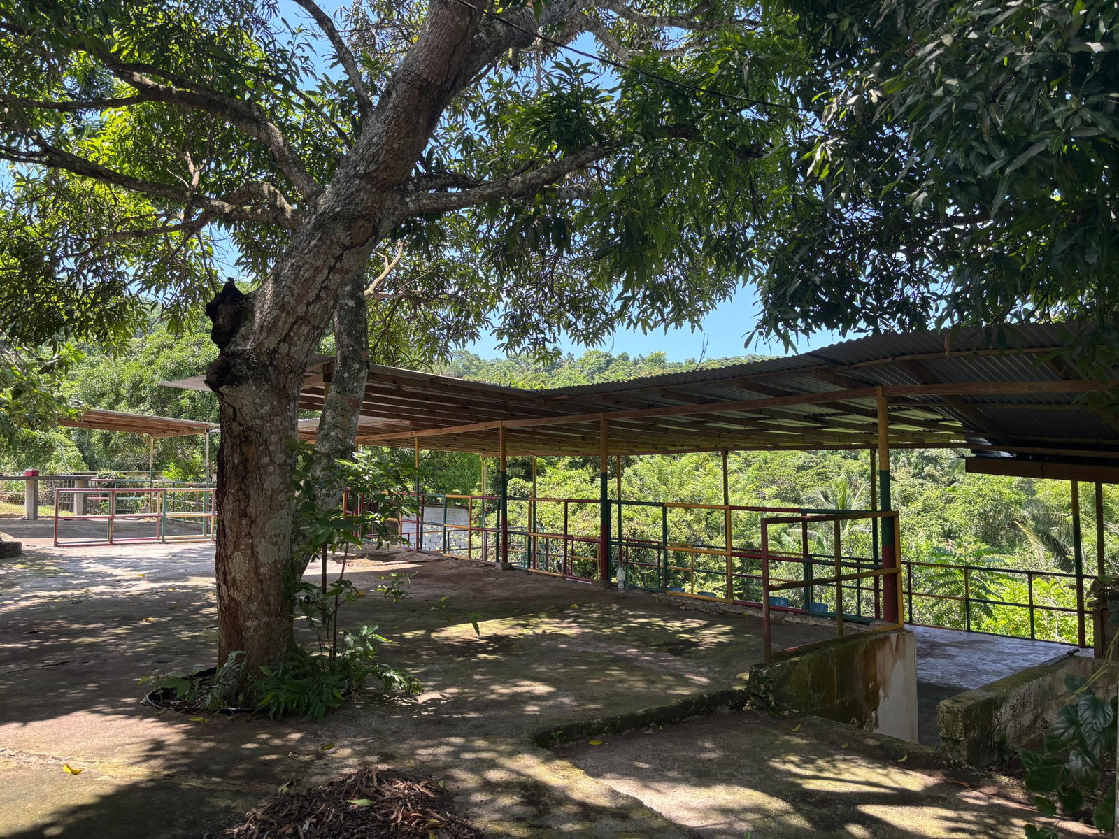 Fifth image of 44 Haughton Court in Lucea, Hanover, Jamaica - property is For Sale
