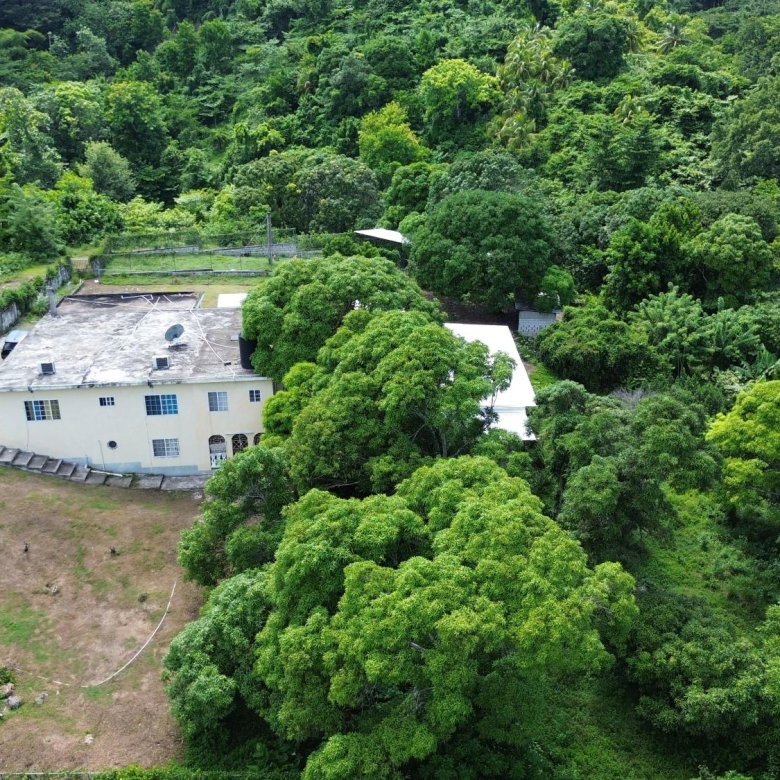 First image of 44 Haughton Court in Lucea, Hanover, Jamaica - property is For Sale