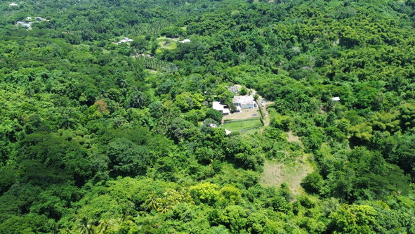 Ninth image of 44 Haughton Court in Lucea, Hanover, Jamaica - property is For Sale