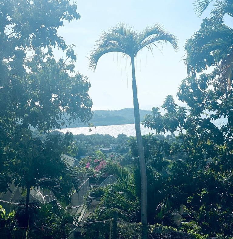Eleventh image of 97 Unity Hall, St. James in Montego Bay, St. James, Jamaica - property is For Sale