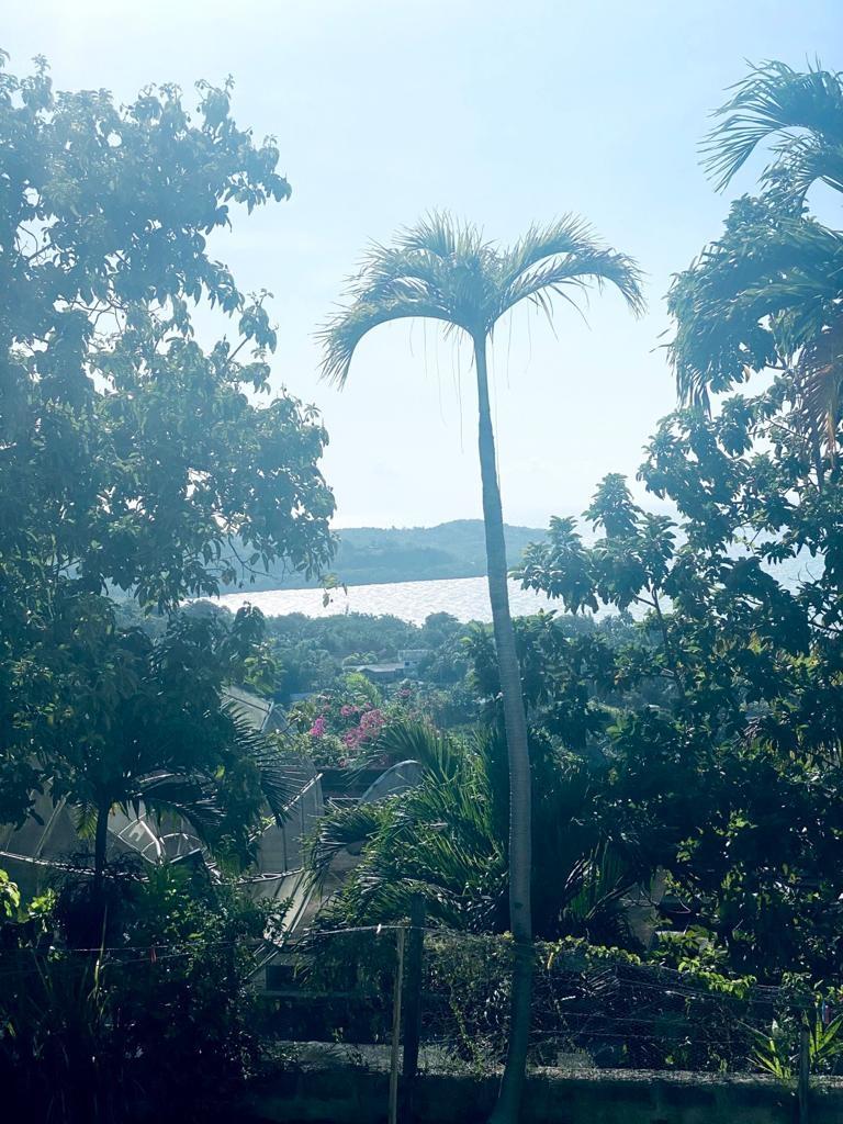 Eleventh image of 97 Unity Hall, St. James in Montego Bay, St. James, Jamaica - property is For Sale